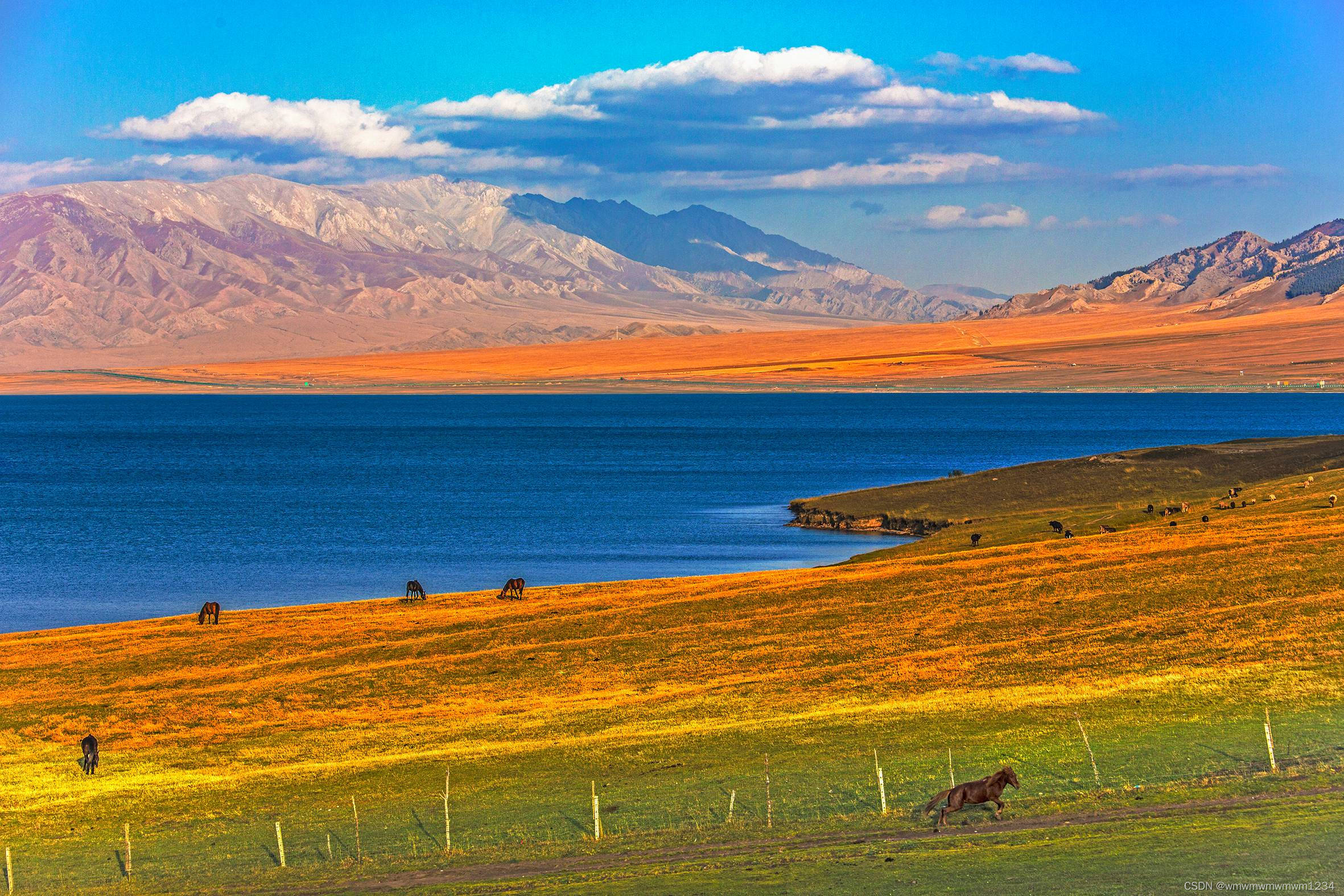 曾只存在故事中的新疆天與地，躍然眼前